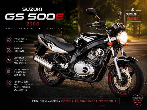 SUZUKI GS500E SUZUKI GS500E